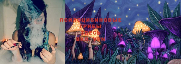 гашик Приозерск