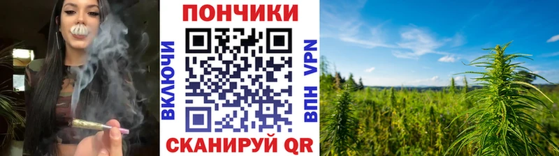 мориарти как зайти  Красный Кут  Бошки Шишки Amnesia  mega ссылки 
